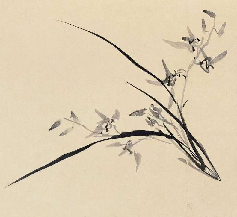 王朝晖《兰意清芬》水墨兰花写意中国画