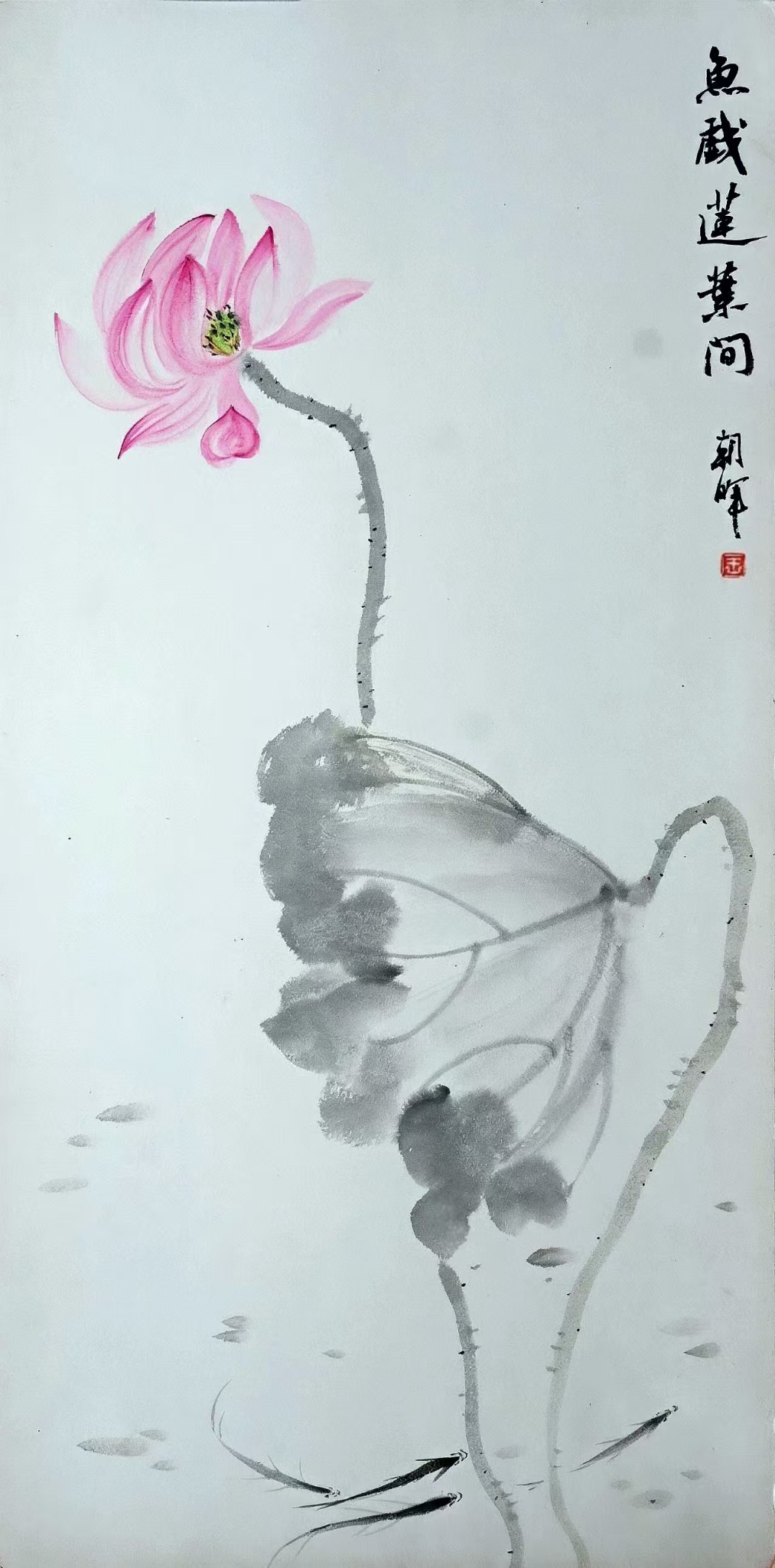 王朝晖《鱼戏莲叶间》荷花荷叶游鱼中国画