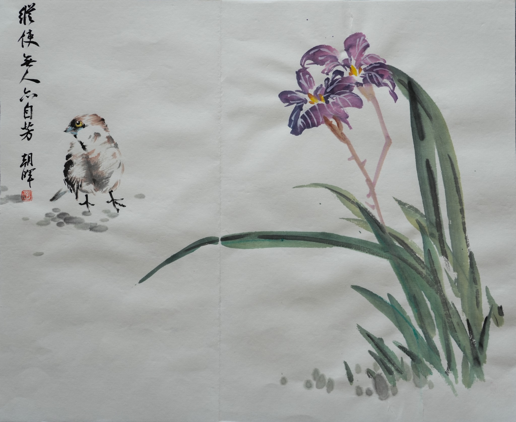 王朝晖《鸢尾小雀》鸢尾花小鸟写意花鸟中国画