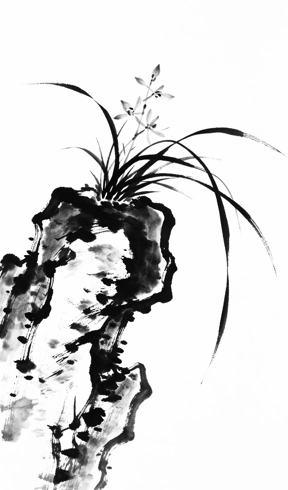 王朝晖水墨作品《兰石清影》