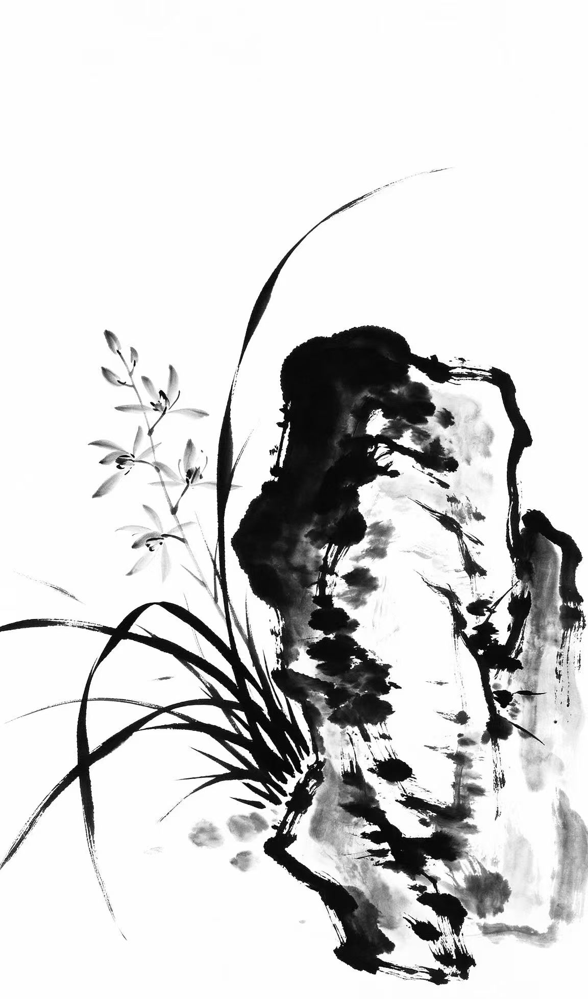 王朝晖水墨作品《幽兰倚石》