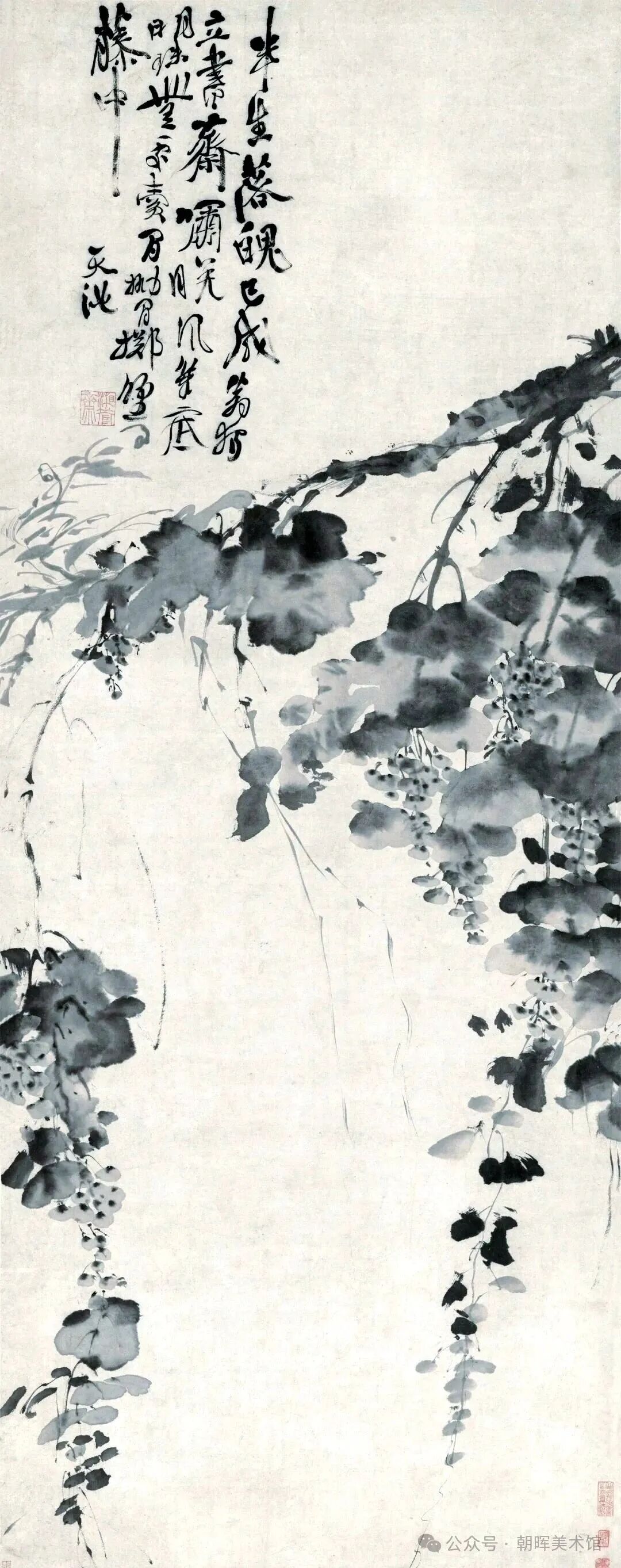 徐渭《墨葡萄图》（原文配图）