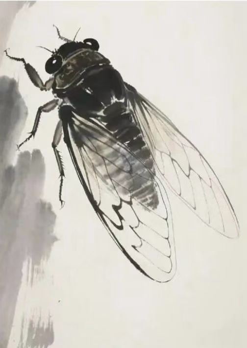 王朝晖水墨小品鸣蝉